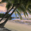 Sumba 10